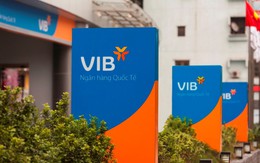 VIB xin ý kiến cổ đông trích 700 tỷ đồng từ lợi nhuận năm 2017 để bổ sung vốn cấp 1