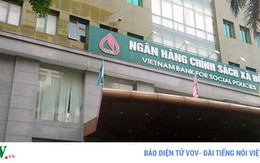 Ngân hàng gia hạn nợ cho các hộ vay chăn nuôi lợn