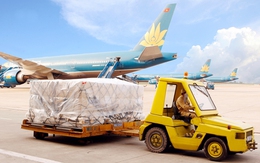 Noibai Cargo (NCT) chốt quyền nhận cổ tức bằng tiền tỷ lệ 40%