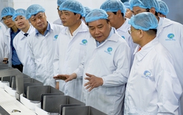 Thủ tướng thăm cơ sở sản xuất tôm có “giấc mơ” 2 tỷ USD