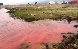 Dải nước đỏ xuất hiện ở biển TT-Huế do tảo