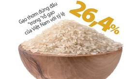 Cuộc dịch chuyển “chầm chậm” của gạo Việt