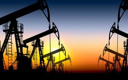 Giá dầu tiếp tục neo ở mức cao nhất kể từ giữa năm 2015