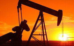 Kỳ vọng tồn kho dầu Mỹ giảm, giá dầu tăng 4 phiên liên tiếp
