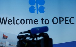 Kỳ vọng vào “làn gió mới” từ OPEC, giá dầu lên đỉnh 7 tuần