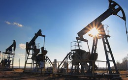 Giá dầu quay đầu leo dốc