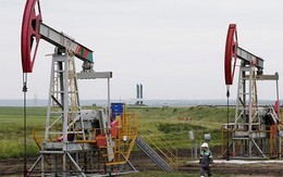 Triển vọng giá dầu: Thị trường theo dõi sát sao trữ lượng và sản lượng dầu thô Mỹ