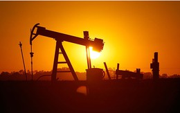 Giá dầu xuôi dốc khi sản lượng Mỹ đạt đỉnh 2 năm