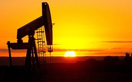 Giá dầu giảm tuần thứ ba liên tiếp