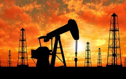 Giá dầu giảm về đáy 2 tuần do OPEC tăng khai thác