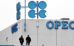 Sản lượng dầu mỏ của OPEC tăng bất chấp thỏa thuận cắt giảm