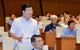 Phó Thủ tướng Trịnh Đình Dũng giải trình một số vấn đề về sản xuất nông nghiệp