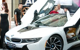 Vụ Euro Auto: Nhiều chứng từ không phải của BMW