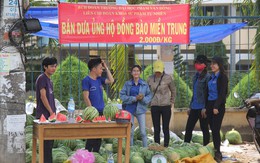 Bà Phạm Chi Lan: Không nên khuyến khích giải cứu nông sản kiểu từ thiện