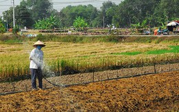 Tách thửa ở Bình Chánh: Vẫn tiếp tục bị ách!