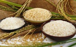 Xuất khẩu gạo tăng mạnh cả lượng và giá trị
