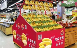 Chuối của HAGL chính thức vào Trung Quốc, xuất hiện trên kệ các siêu thị ở Bắc Kinh, Thượng Hải, Thành Đô...