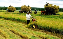 Có “2 vòng kim cô” cản trở nông nghiệp Việt Nam phát triển