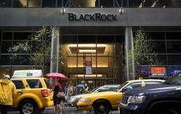 BlackRock cho ra mắt các quỹ đầu tư ETF quản lý bởi AI