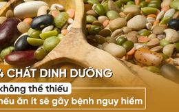 Ăn uống có thể theo nhu cầu, nhưng tuyệt đối đừng để thiếu 4 chất dinh dưỡng này