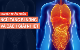 5 chuyên gia lý giải tình trạng ngũ tạng bị nóng và cách khắc phục đơn giản bằng thực phẩm