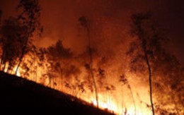 Cháy rừng trong đêm ở Thanh Hóa, hàng trăm người tham gia dập lửa