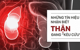 Khi bạn có khoảng 6 dấu hiệu này trở lên, thì hãy coi chừng thận đang trên đà hỏng nặng!