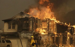 Cháy rừng ở California dữ dội nhất trong lịch sử