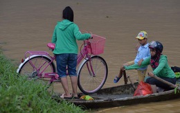Chùm ảnh: Ninh Bình nhiều nơi nước ngập quá 2m, đường vào khu du lịch Bái Đính bị cô lập