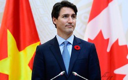 Bạn sẽ ngạc nhiên khi biết bông hoa đỏ cài áo Thủ tướng Justin Trudeau và câu chuyện lịch sử đằng sau