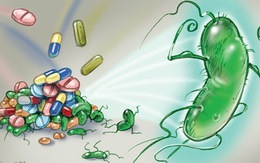 Vi khuẩn HP gây bệnh dạ dày đã kháng với nhiều loại kháng sinh