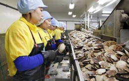 Nghịch lý tại Nhật Bản: Nhân viên không thích được tăng lương