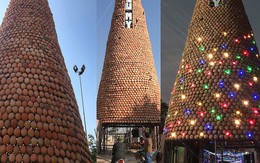 Cận cảnh cây thông Noel cao 25m "độc nhất vô nhị" ở Nghệ An