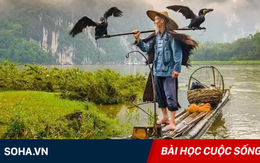 Nếu là người thông minh thực sự, họ sẽ không bao giờ phạm phải việc này!