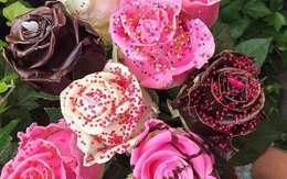 Gần 300.000 đồng cho một bông hồng phủ chocolate trong ngày Valentine