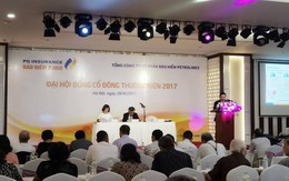 ĐHCĐ Pjico (PGI): Trình kế hoạch phát hành 20% cổ phần cho Samsung Fire&Marine Insurance