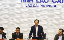 Phó Thủ tướng Vương Đình Huệ thị sát 2 dự án thua lỗ nghìn tỷ