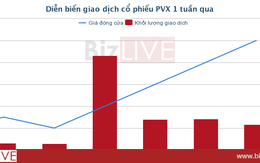 [Cổ phiếu nổi bật tuần] Lợi nhuận “bỏng tay'' từ hàng đầu cơ PVX