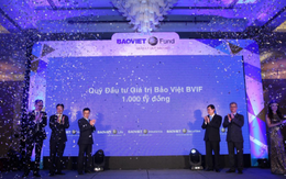 Quỹ đầu tư giá trị Bảo Việt (BVIF) muốn mua 8 triệu cổ phần của Vinare