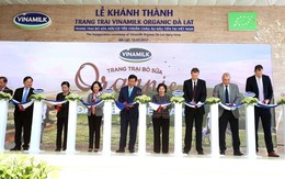 Vinamilk khánh thành trang trại Vinamilk Organic Đà Lạt, trang trại bò sữa hữu cơ đầu tiên tại Việt Nam