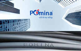 Giá vốn giảm sâu, Thép Pomina bất ngờ báo lãi 204 tỷ đồng quý 1/2017, gần gấp 7 lần cùng kỳ