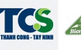 Cổ phiếu SBT liên tục tăng, cổ đông Đường Biên Hòa thắng đậm khi ngày sáp nhập cận kề