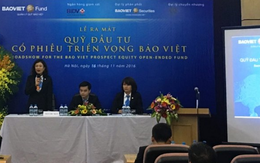 Tháng 7, quỹ đầu tư cổ phiếu triển vọng Bảo Việt (BVPF) đã rót thêm tiền vào cổ phiếu ngành cao su, dược, vận tải...