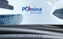 Pomina (POM): Giá vốn giảm sâu, quý 2 lãi 250 tỷ đồng, nâng tổng LNST 9 tháng đầu năm lên hơn 514 tỷ đồng