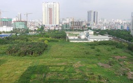 Hà Nội: Thêm 61ha đất trồng lúa chuyển đổi thành đất dự án