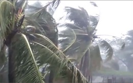 Video bão số 10 gây mưa to, gió giật mạnh ở Quảng Trị