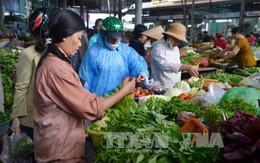 Giá rau ở Kon Tum tăng, giảm thất thường