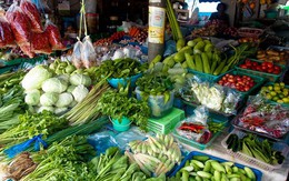 Thái Lan: 64% rau củ quả có dư lượng thuốc trừ sâu vượt mức cho phép