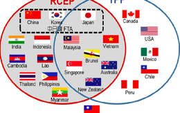 RCEP – giải pháp thay thế cho TPP và bài toán mới của Việt Nam
