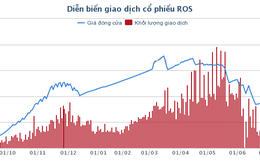 Chia tách cổ phiếu, tại sao ROS vẫn không ngừng tăng?